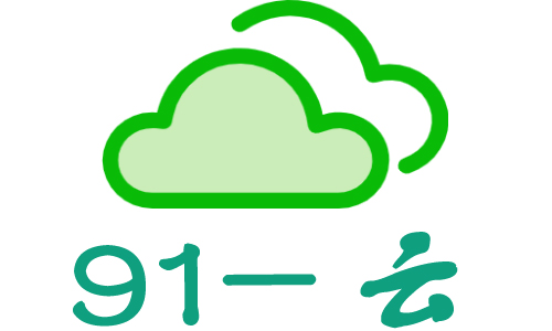 91云